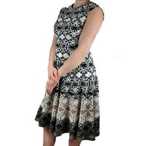 Danny & Nicole Womens Sleeveless Ombre Geometric Fit Flare Dress Size 8